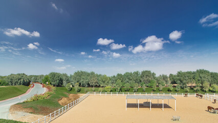 Arabian horse runs inside paddock in the dust desert timelapse hyperlapse, UAE