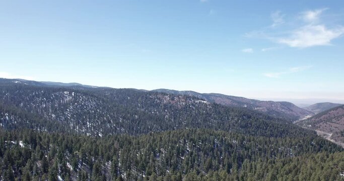 Aerial view pull out of the pine tree forests covering the mountains in New Mexico