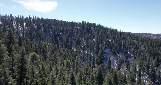 Aerial view of a New Mexico mountain tilts down to show dense pine tree forest and snow