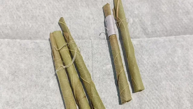 Bidi or Beedi, A beedi is a thin cigarette or mini-cigar filled with  tobacco flake and commonly wrapped in a tendu or Piliostigma racemosum leaf  tied with a string or adhesive, bidi isolated