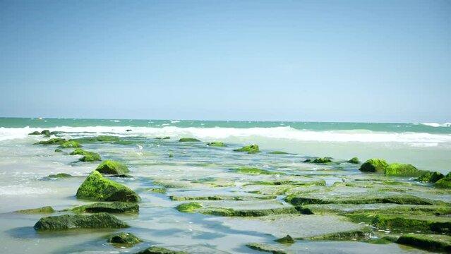 Waves Hit Patch of Bright Green Mossy Stones on Beach