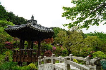 Korean-style garden, pavilion, water, scenery, arboretum, park, May, beautiful,the ponds and pavilions of the Garden of Morning Calm