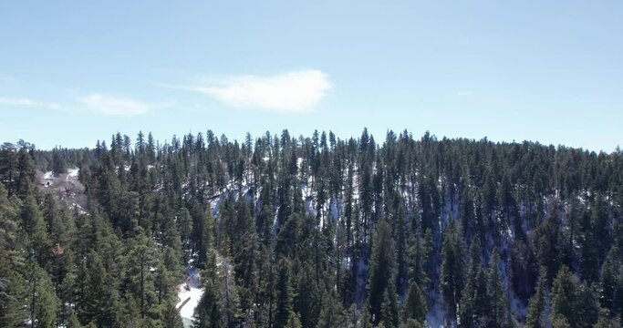 Slow aerial push in on a pine tree forest in the New Mexico mountains