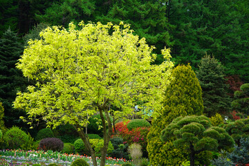 Morning Calm The beauty of the arboretum