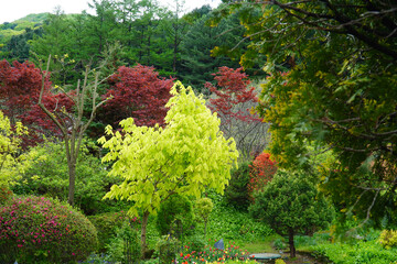 Morning Calm The beauty of the arboretum