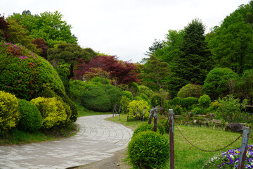 Morning Calm The beauty of the arboretum