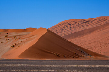 Fototapeta na wymiar Landscape of the red sand dunes of Sossusvlei in the Namib Nauklft National Park in Namibia