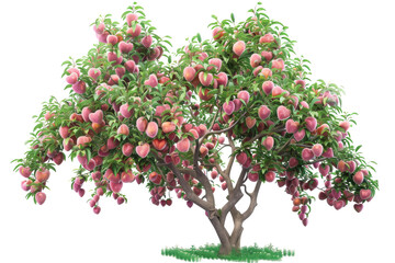 A majestic tree laden with bountiful fruits hanging in abundance