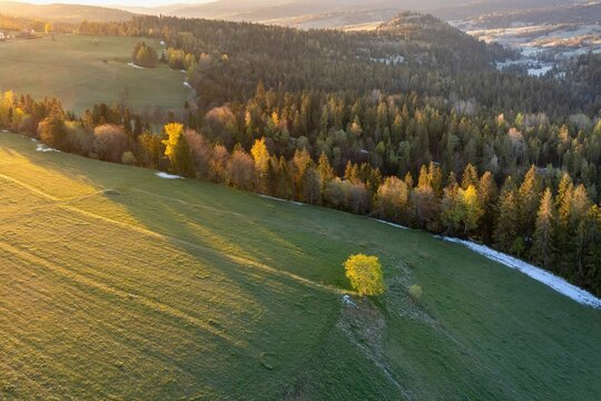 Panorama lasów i łąk w Tatrach w okolicach Łapszanki o poranku z promieniami słońca