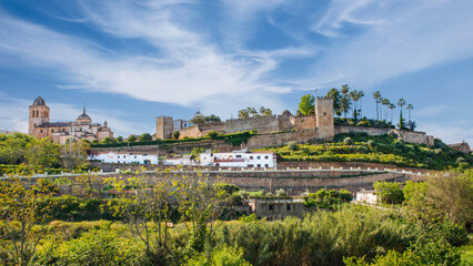 Fototapeta na wymiar Jerez de los Caballeros Castle and Citadel, Badajoz