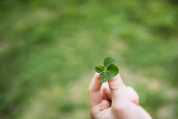 Hand holding a four leaf clover with green background