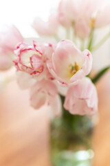 Vase filled with soft pink tulips in bloom, delicate and fresh
