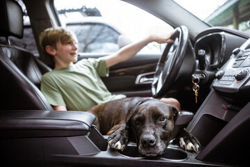 Joyful boy and calm dog share a pretend driving adventure