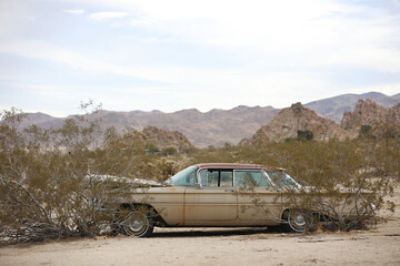 Abandoned car blends with the desert landscape - obrazy, fototapety, plakaty