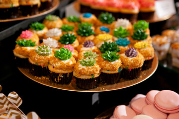 Artfully decorated cupcakes topped with succulent icing designs.