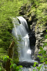 waterfall in the forest