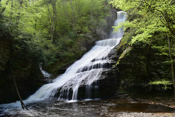 waterfall in the forest