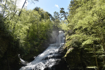 waterfall in the woods