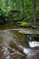 Obraz premium stream in the forest