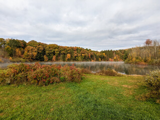 Autumn Lakefront_edge of a lake with autumn-colored trees and mist on the water by Rachel Berros