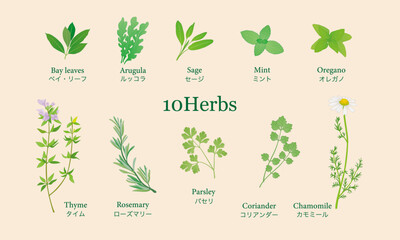 ハーブ10種 © nakaco's craft