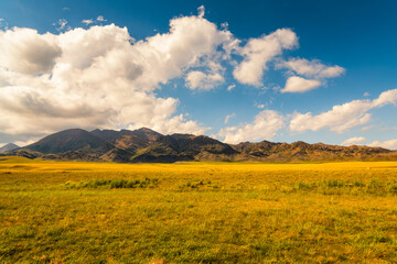 Peak grassland in Sailimu Lake Scenic Area, Xinjiang, China