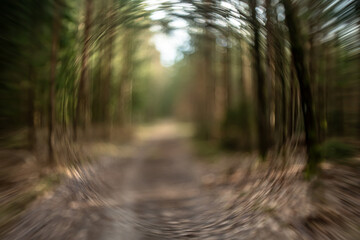 Forest landscape with abstract background blur on a sunny,spring day.
