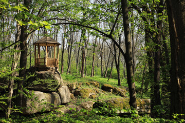 Wooden gazebo on a rock in the forest