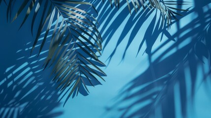 Tropical palms leaf shadow on a blue background high resolution, 8k, generated with AI