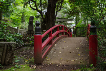 東京赤坂にある氷川神社の境内