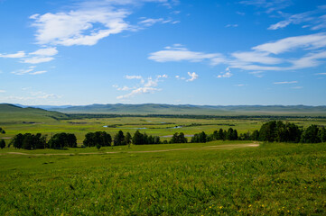 Lush green landscape with meandering river under a blue sky. Mongolian landscape. 