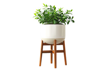 A flourishing potted plant sitting elegantly on a rustic wooden stand