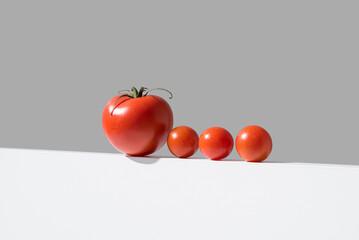 Tomates maduros frescos variados sobre un soporte blanco y fondo gris	
