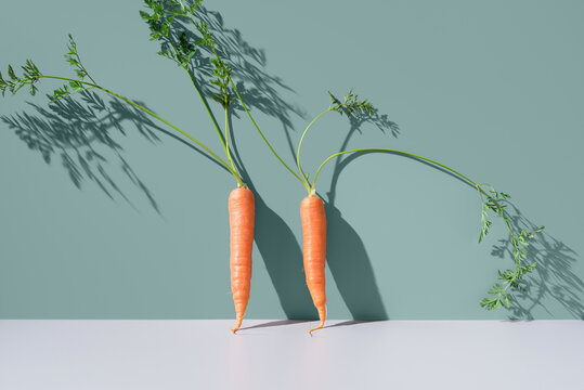 Dos zanahorias frescas apoyadas en una pared verde	