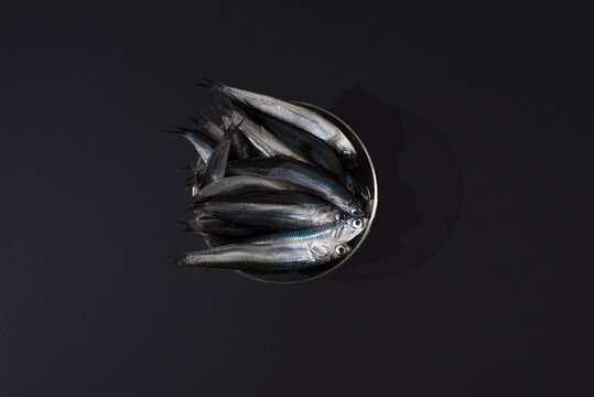 Anchoas frescas dentro de un recipiente trasparente sobre fondo negro. Vista superior