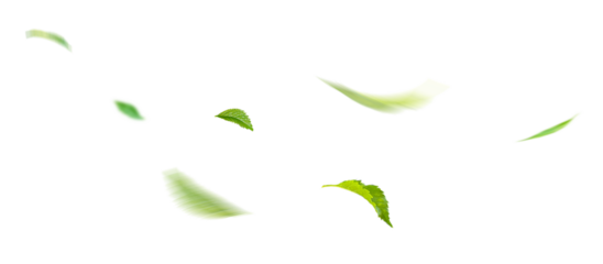 Green Floating Leaves Flying Leaves Green Leaf Dancing, Air Purifier Atmosphere Simple Main Picture.