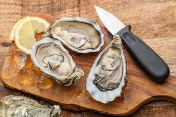 Three opened raw oysters and oyster knife on wooden table. Top view.