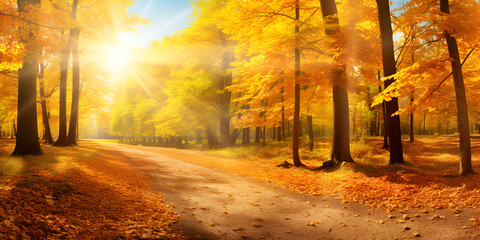 Peaceful autumn, lovely forest with colorful trees and path on a sunny day in background 