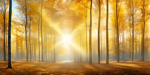 Sun beams in an autumn morning forest in the background concept of autumn season