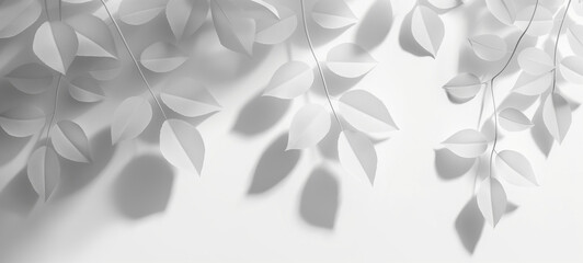 white leaves abstract