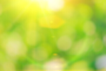 Green nature in spring eco garden. Summer abstract blur background. Bright shiny tree leaves. Ray...