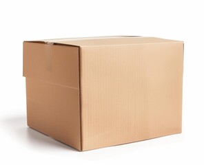 Blank Cardboard Box on Seamless White Background