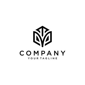 TMP hexagon logo vector.Develop, natural, luxury, modern, finance logo, strong, suitable for your company.