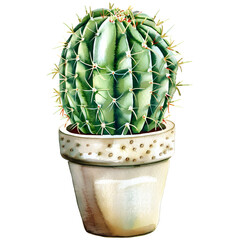 Watercolor clipart, single stem, cactus in pot
