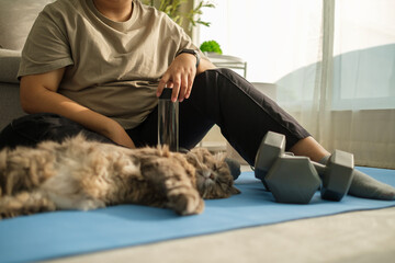 Cute grey cat lying on yoga mat near overweight woman resting after exercising.