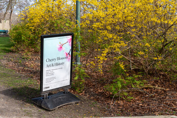 Obraz premium Cherry Blossom Art & History sidewalk sign near the old house in High Park (Toronto, Canada)