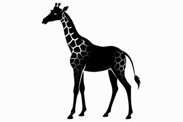 black Giraffe silhouette vector illustration on white background