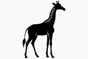 black Giraffe silhouette vector illustration on white background