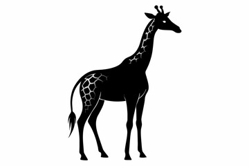 black Giraffe silhouette vector illustration on white background