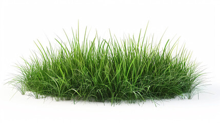 Natural fresh green grass cut out on white backgrounds 3d rendering